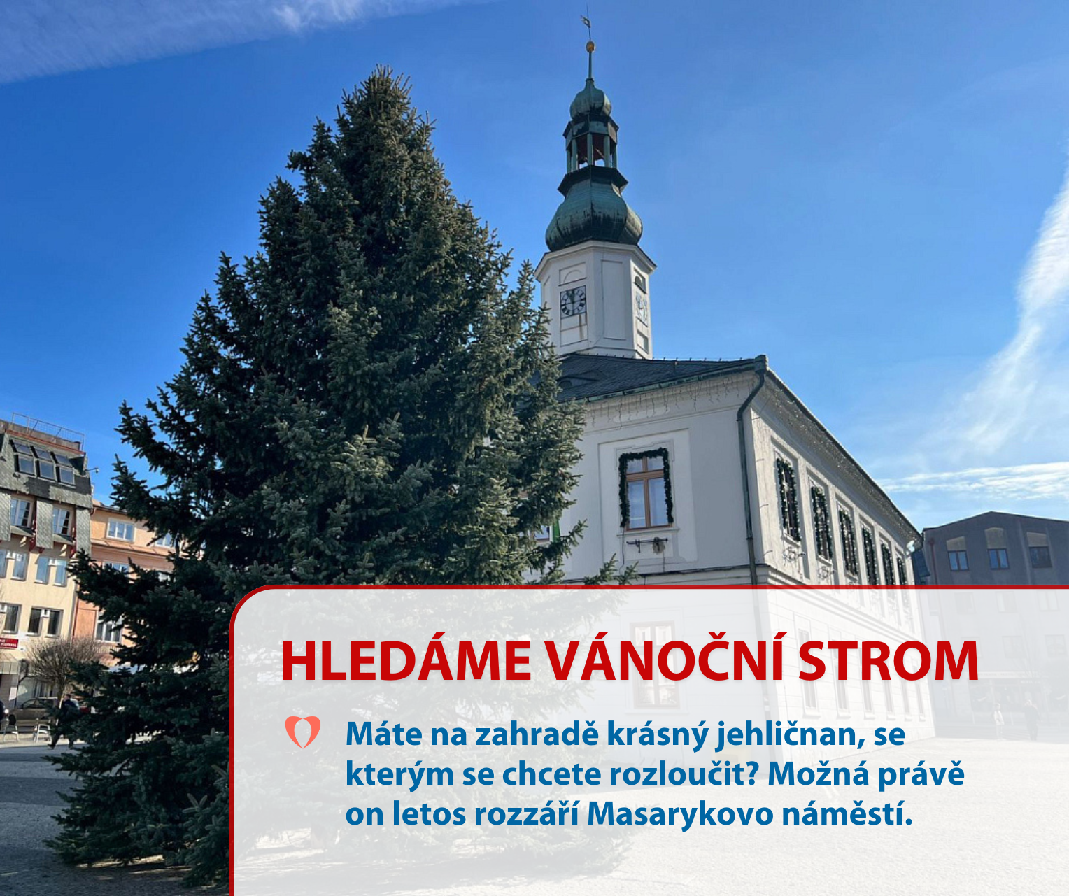 DO VÁNOC PŮL ROKU A MY UŽ HLEDÁME NÁŠ VÁNOČNÍ STROM