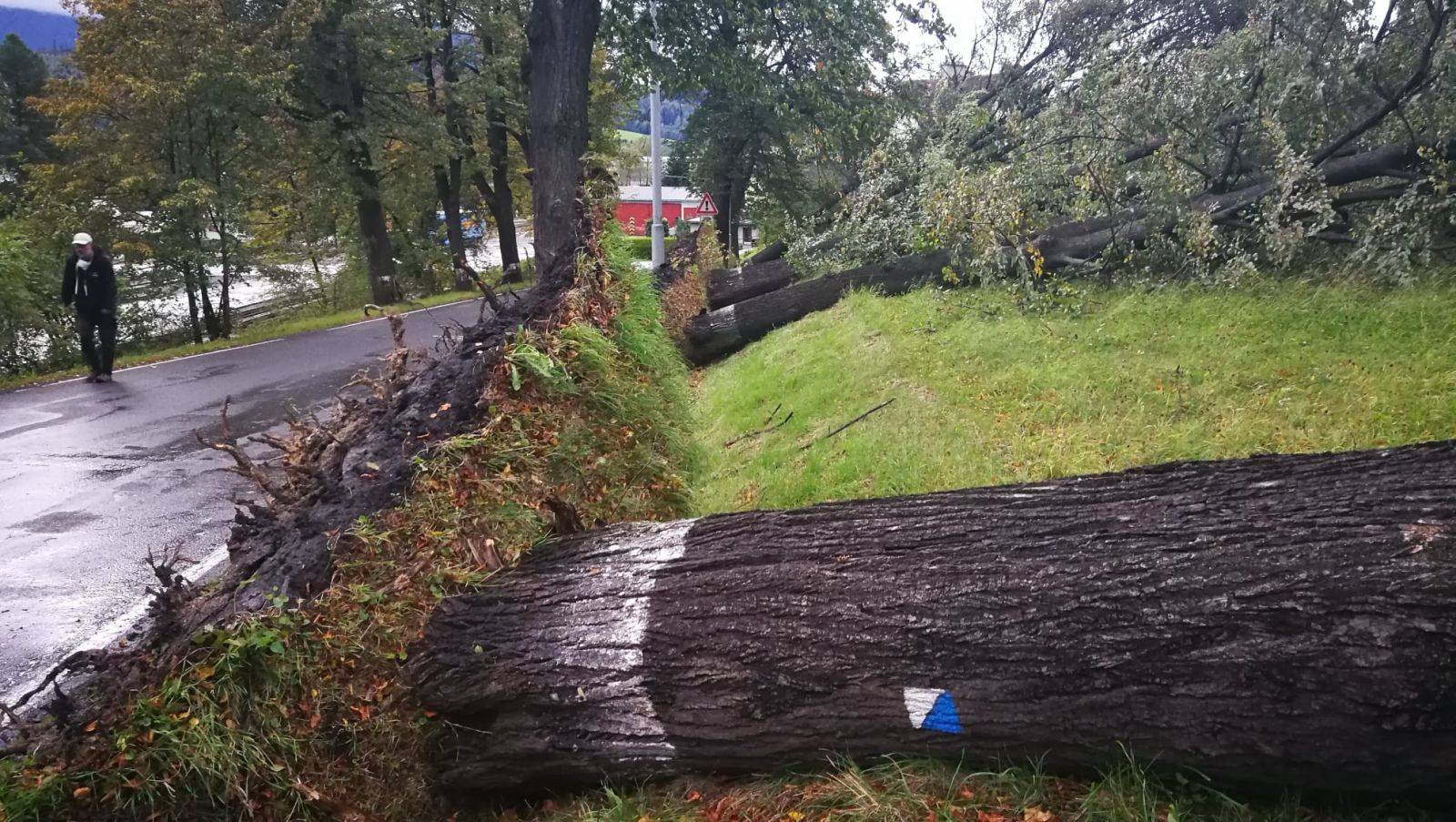 HASIČI SE NEZASTAVILI: STROMY PADALY NA SILNICE, DOMY I AUTA