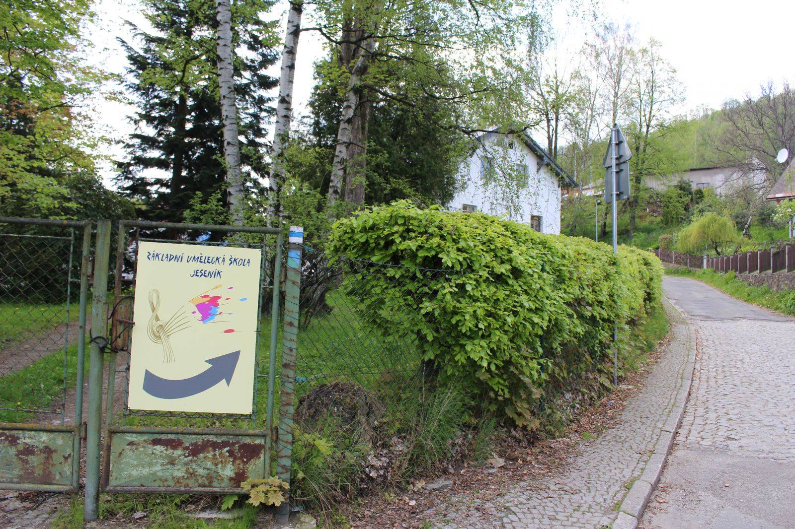 KÁCENÍ STROMŮ