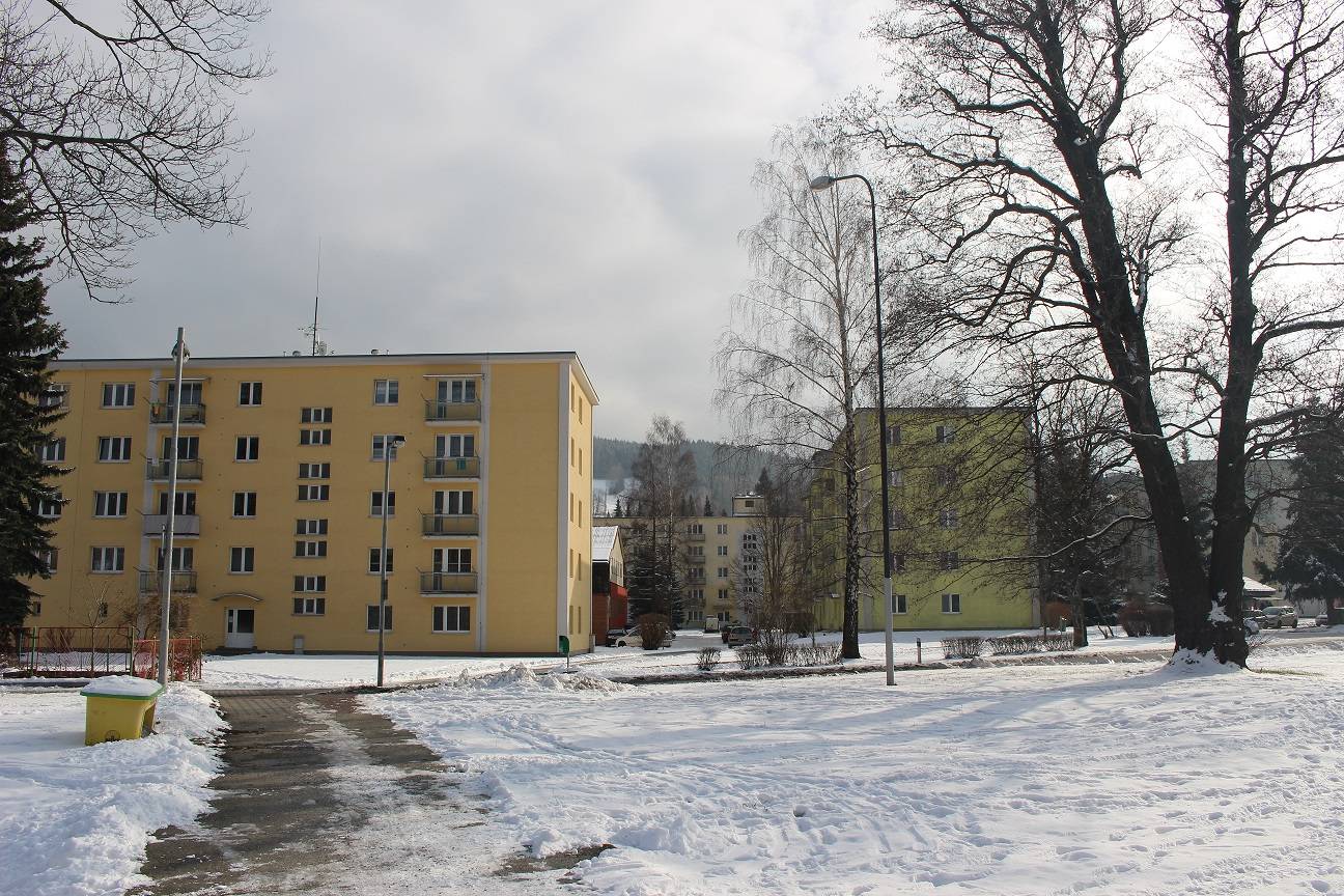 POKÁCENÉ DŘEVINY NAHRADÍ NOVÁ VÝSADBA