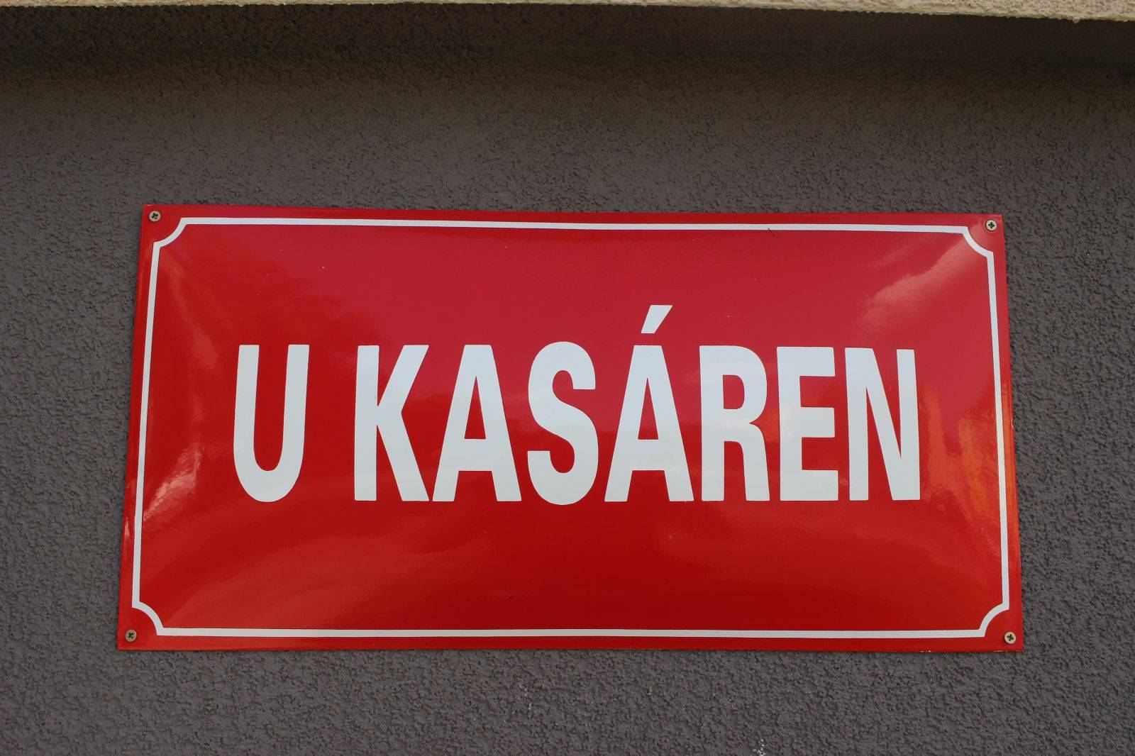 PROŘEZ DŘEVIN