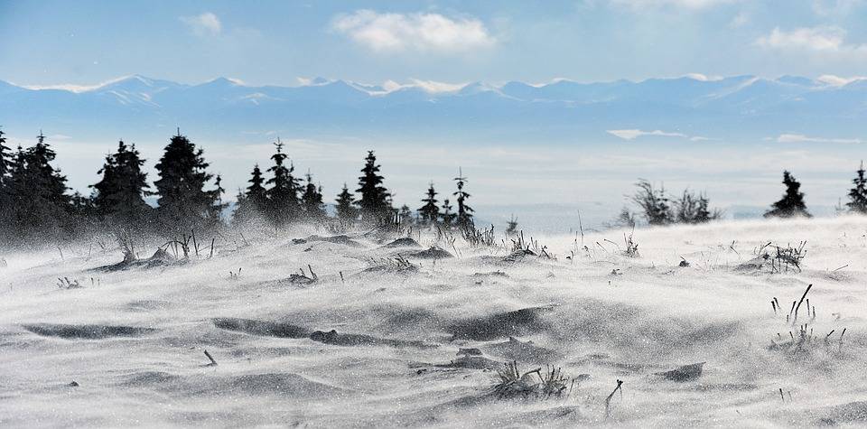 METEOROLOGOVÉ UPOZORŇUJÍ NA SILNÝ VÍTR
