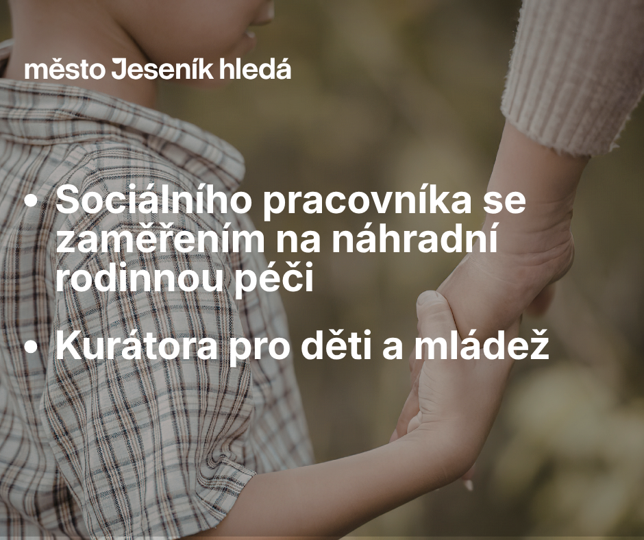 VYHLÁŠENÁ VÝBĚROVÁ ŘÍZENÍ