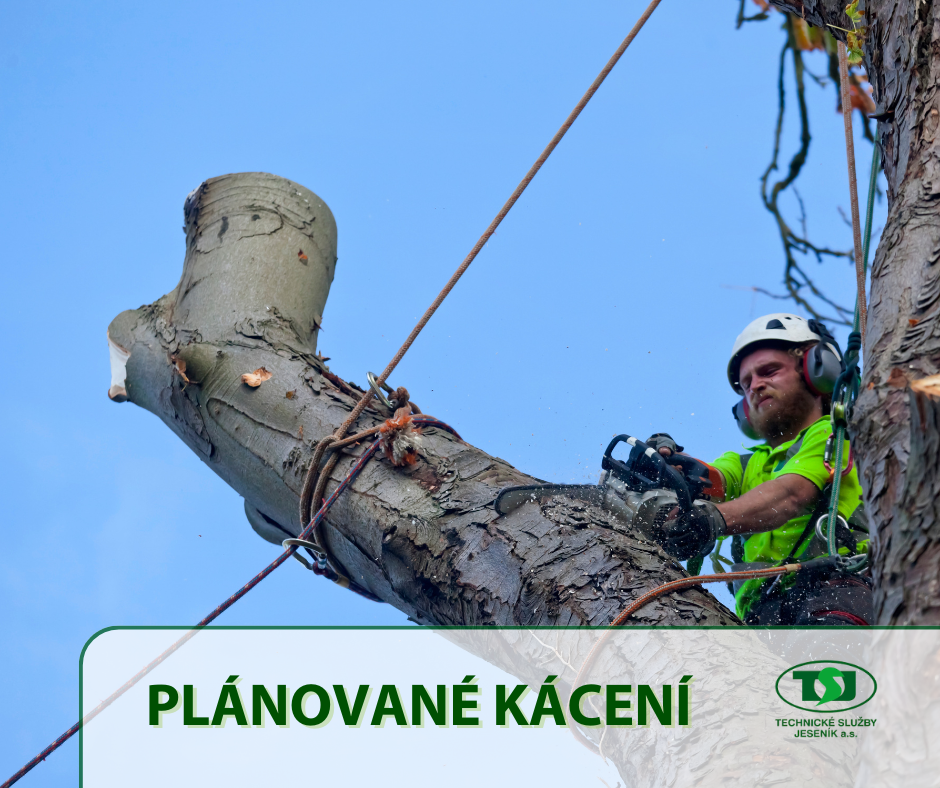 DOČASNÉ OMEZENÍ PROVOZU NA ULICI BEZRUČOVA
