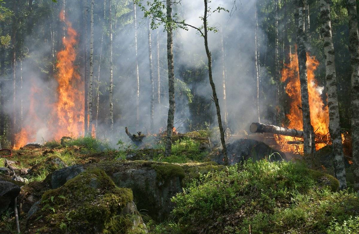 KRAJ UKONČIL OBDOBÍ ZVÝŠENÉHO NEBEZPEČÍ VZNIKU POŽÁRŮ