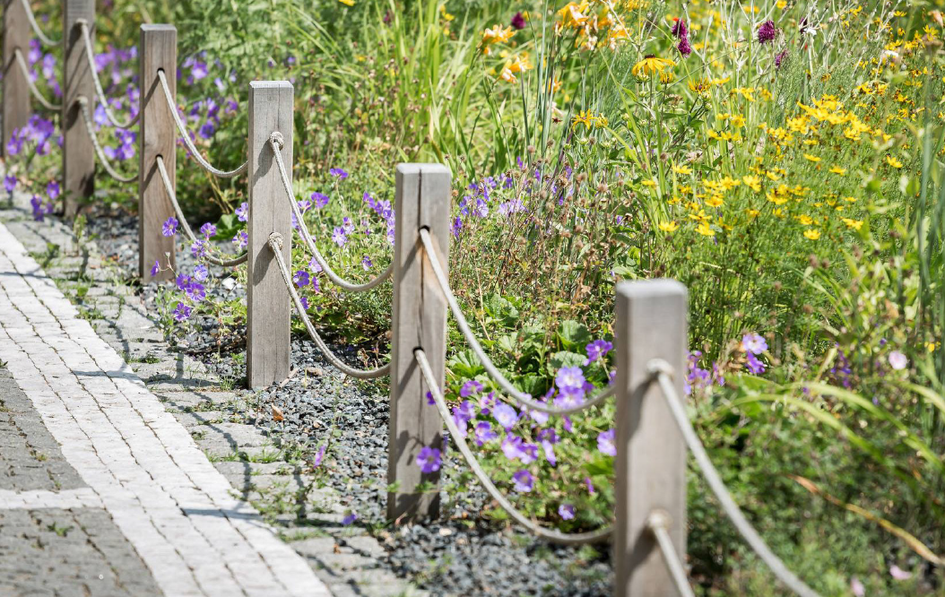 MĚSTO JE V SRDCI PŘÍRODY, PŘÍRODA ZASE V SRDCI MĚSTA