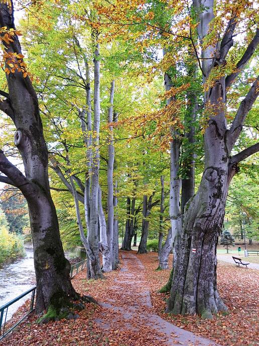 STAVEBNÍ PRÁCE NA STEZCE PODÉL BĚLÉ