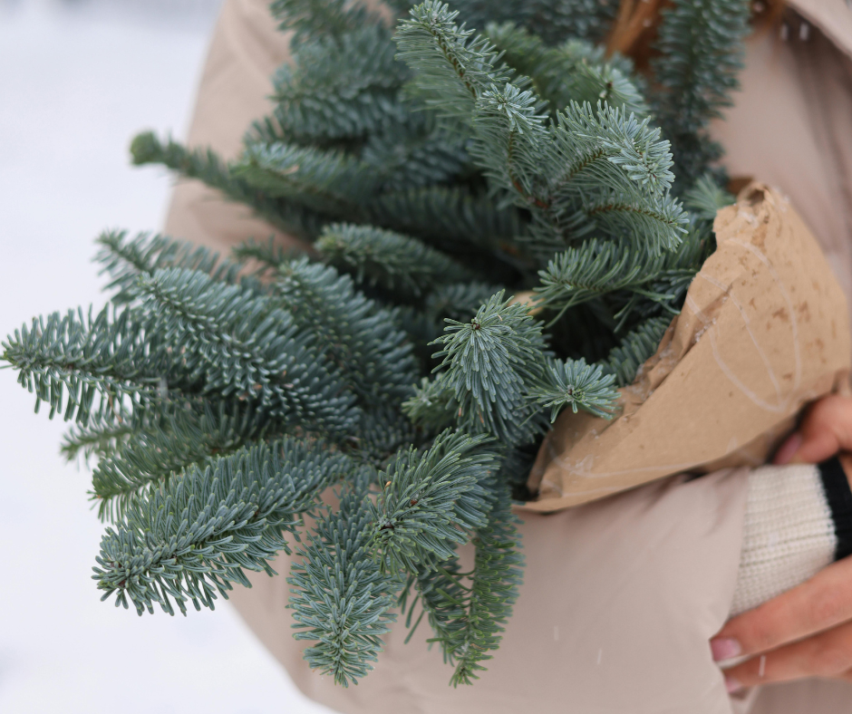 PŘIJDŤE SI PRO VĚTVIČKY NA VÁNOČNÍ TVOŘENÍ