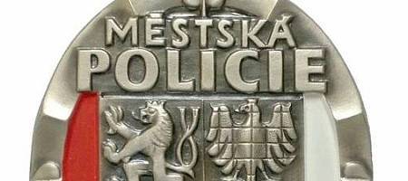 VÝROČNÍ ZPRÁVA O ČINNOSTI MĚSTSKÉ POLICIE