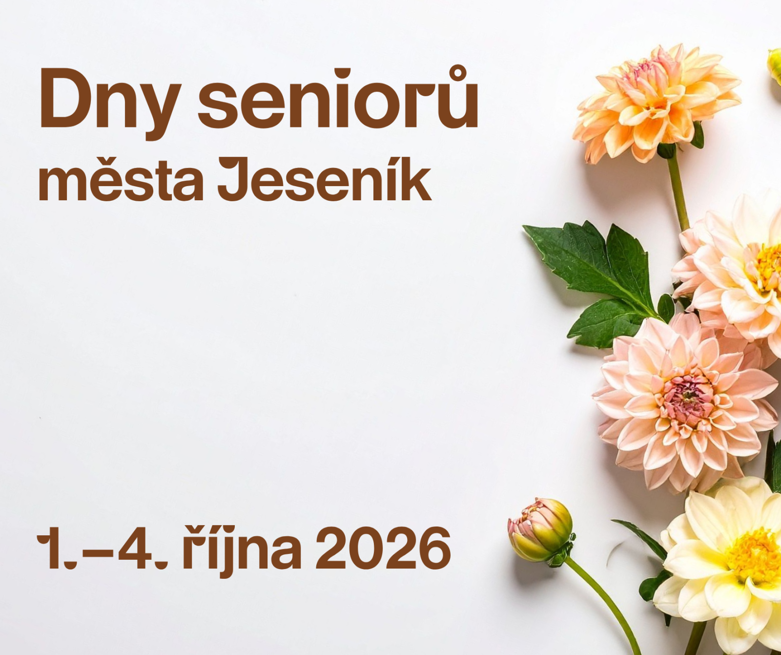 ČTYŘI DNY, ČTYŘI ZÁŽITKY. DNY SENIORŮ NABÍDNOU TALKSHOW, VÝLET, KINO I TANEC