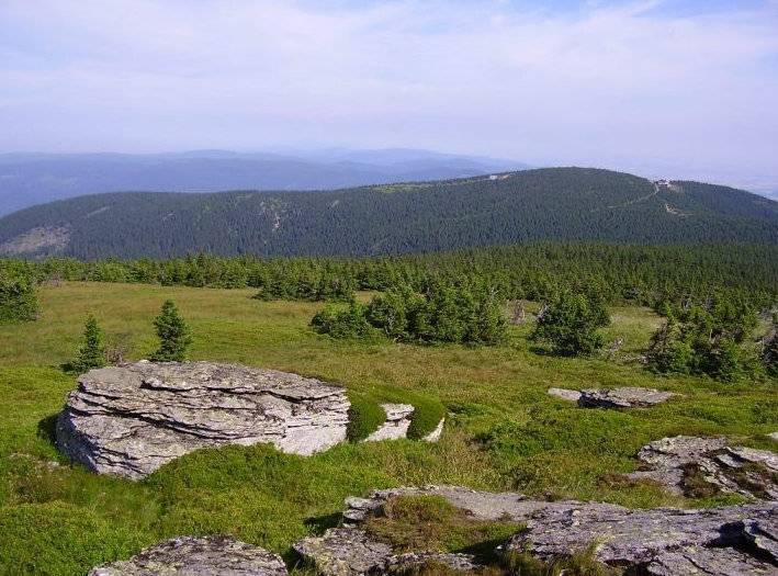 Rezervace Šerák-Keprník