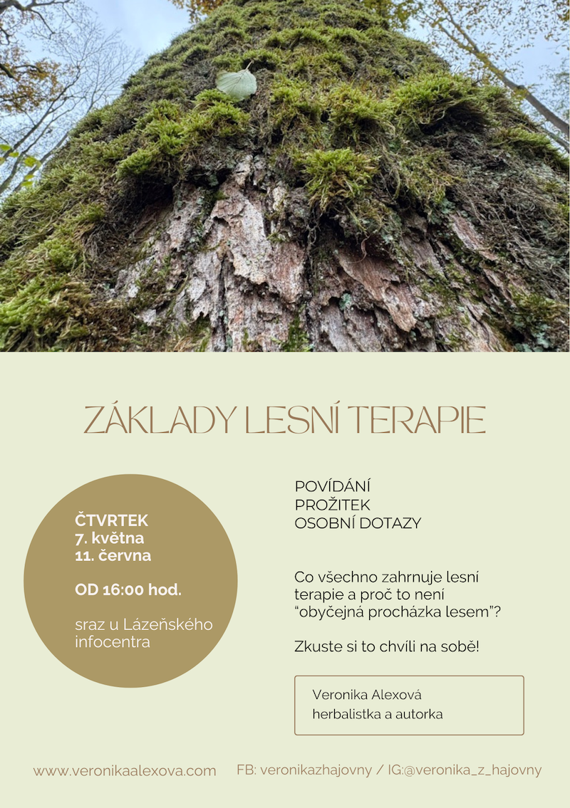 ZÁKLADY LESNÍ TERAPIE