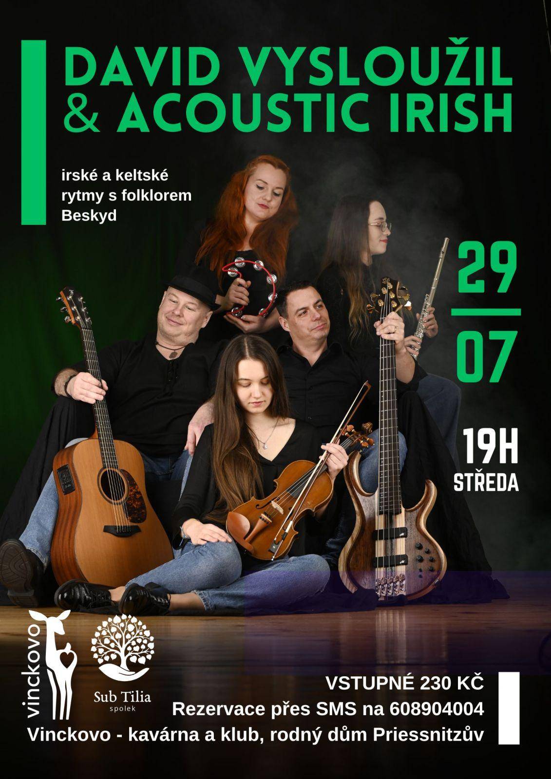 DAVID VYSLOUŽIL & ACOUSTIC IRISH