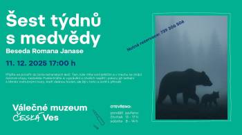 Šest týdnů s medvědy