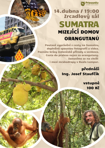 SUMATRA - MIZEJÍCÍ DOMOV ORANGUTANŮ