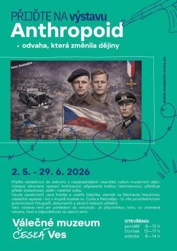 Anthropoid