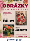 VÝSTAVA - OBRÁZKY PRO POTĚŠENÍ