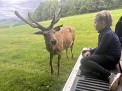 Jelení safari a Koukej farma