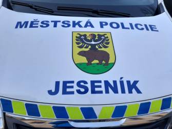 CIZINEC SKONČIL V RUKOU POLICIE