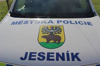 VÝBĚROVÉ ŘÍZENÍ NA ŘEDITELE MĚSTSKÉ POLICIE