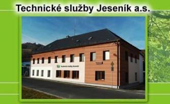 PŘEDVÁNOČNÍ ÚKLID JESENÍKU