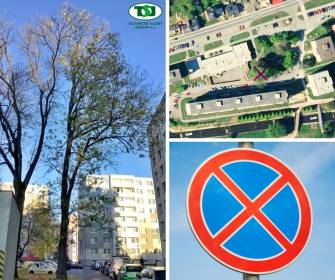 REKONSTRUKCE LIPOVSKÉ ULICE