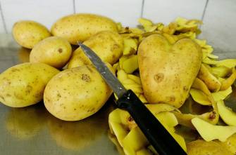 SVOZ BIOLOGICKÉHO ODPADU V ZIMNÍM OBDOBÍ