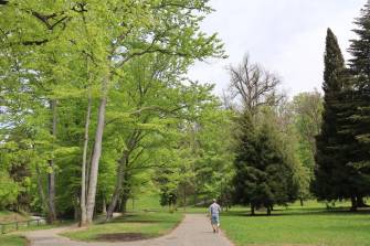 CHYSTÁ SE OBNOVA SMETANOVÝCH SADŮ: PŘISPĚJTE SVÝM PODNĚTEM