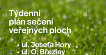 SEČENÍ VEŘEJNÉ ZELENĚ V TÝDNU DO 17. ČERVENCE