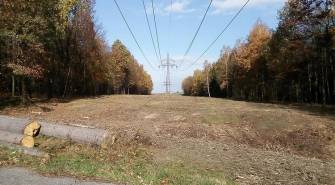 UPOZORNĚNÍ ČEZ DISTRIBUCE NA OŘEZ STROMŮ V BLÍZKOSTI ELEKTRICKÉHO VEDENÍ