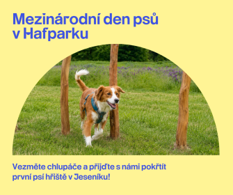 PŘIJĎTE S NÁMI OTEVŘÍT PRVNÍ PSÍ HŘIŠTĚ V JESENÍKU