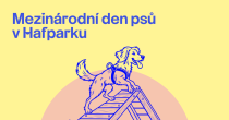 PŘIJĎTE S NÁMI OTEVŘÍT PRVNÍ PSÍ HŘIŠTĚ V JESENÍKU