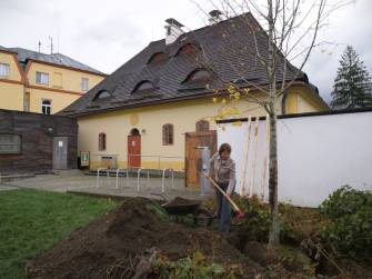 NA ZAHRADĚ KATOVNY ROSTE NOVÁ LÍPA