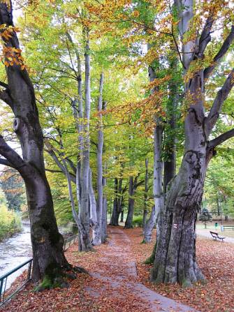 STAVEBNÍ PRÁCE NA STEZCE PODÉL BĚLÉ