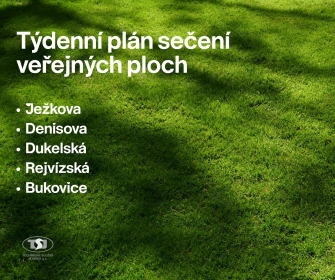 SEČENÍ VEŘEJNÉ ZELENĚ V TÝDNU DO 31. ČERVENCE