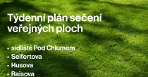 SEČENÍ VEŘEJNÉ ZELENĚ V TÝDNU DO 14. SRPNA