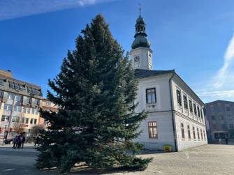 VÁNOČNÍ STROM ZASADILI S LÁSKOU. BYL DAROVÁN S PŘÁNÍM SPOJIT MĚSTO